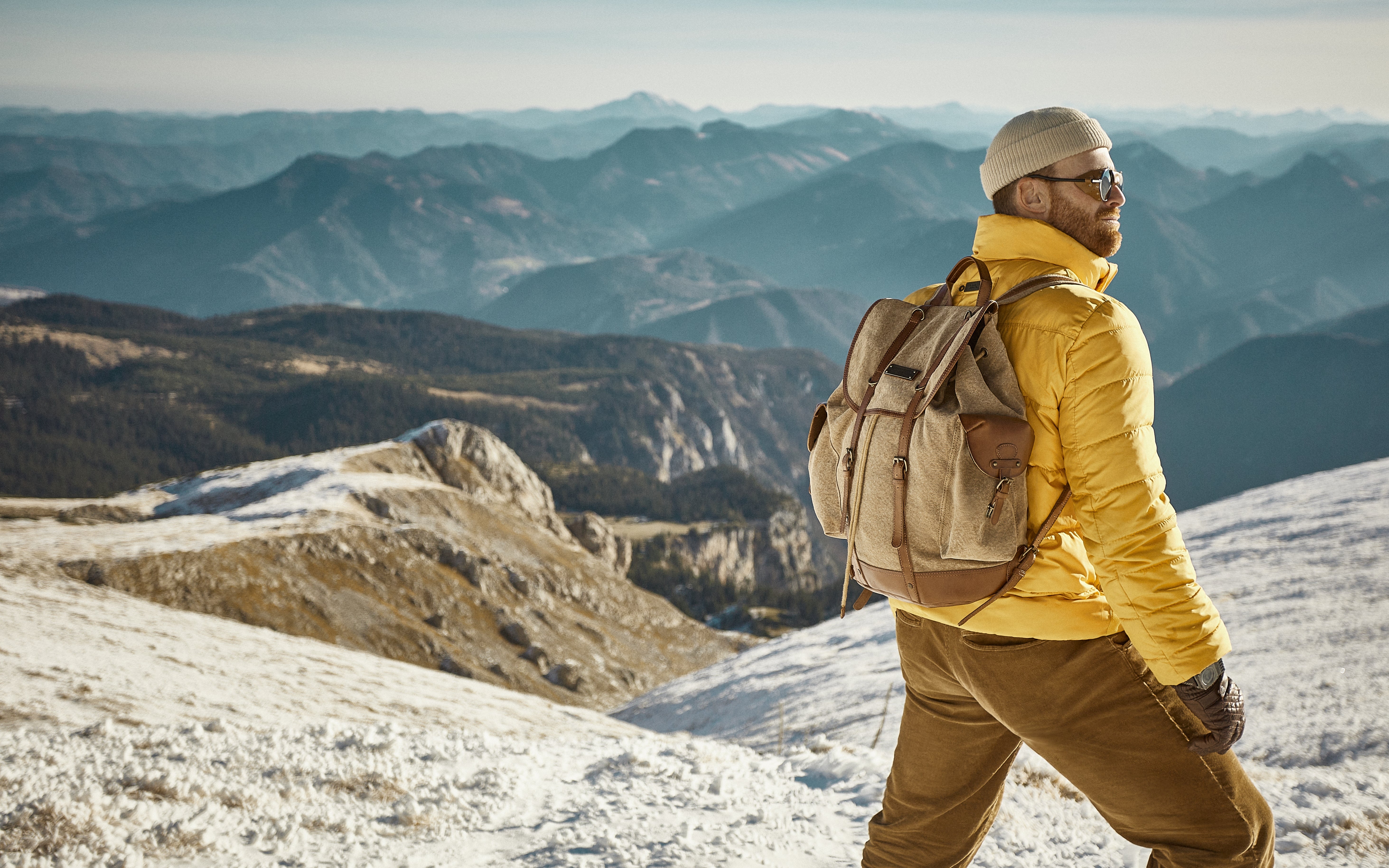 collection.image.alt