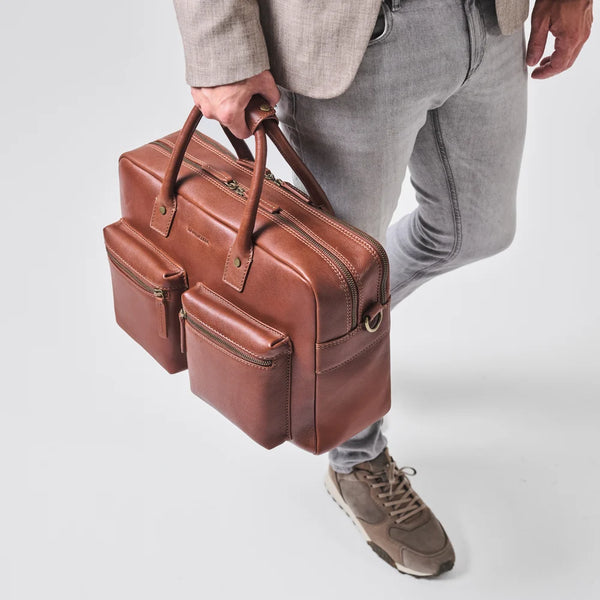 Chestnut-Brown Hero
