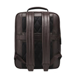 Chocolate-Brown