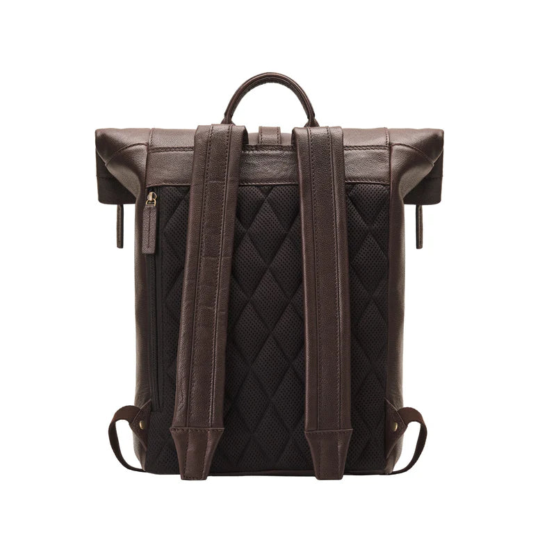 Chocolate-Brown