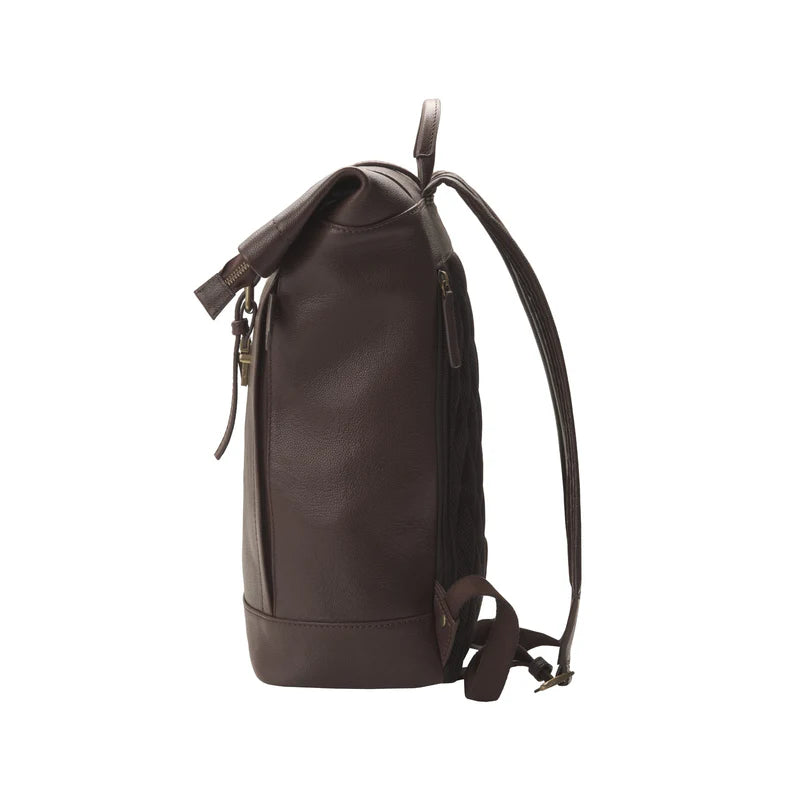 Chocolate-Brown