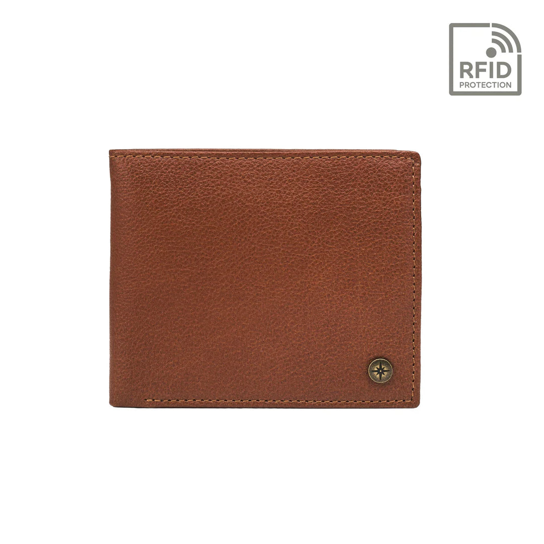 Chestnut-Brown