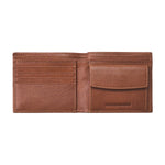 Chestnut-Brown