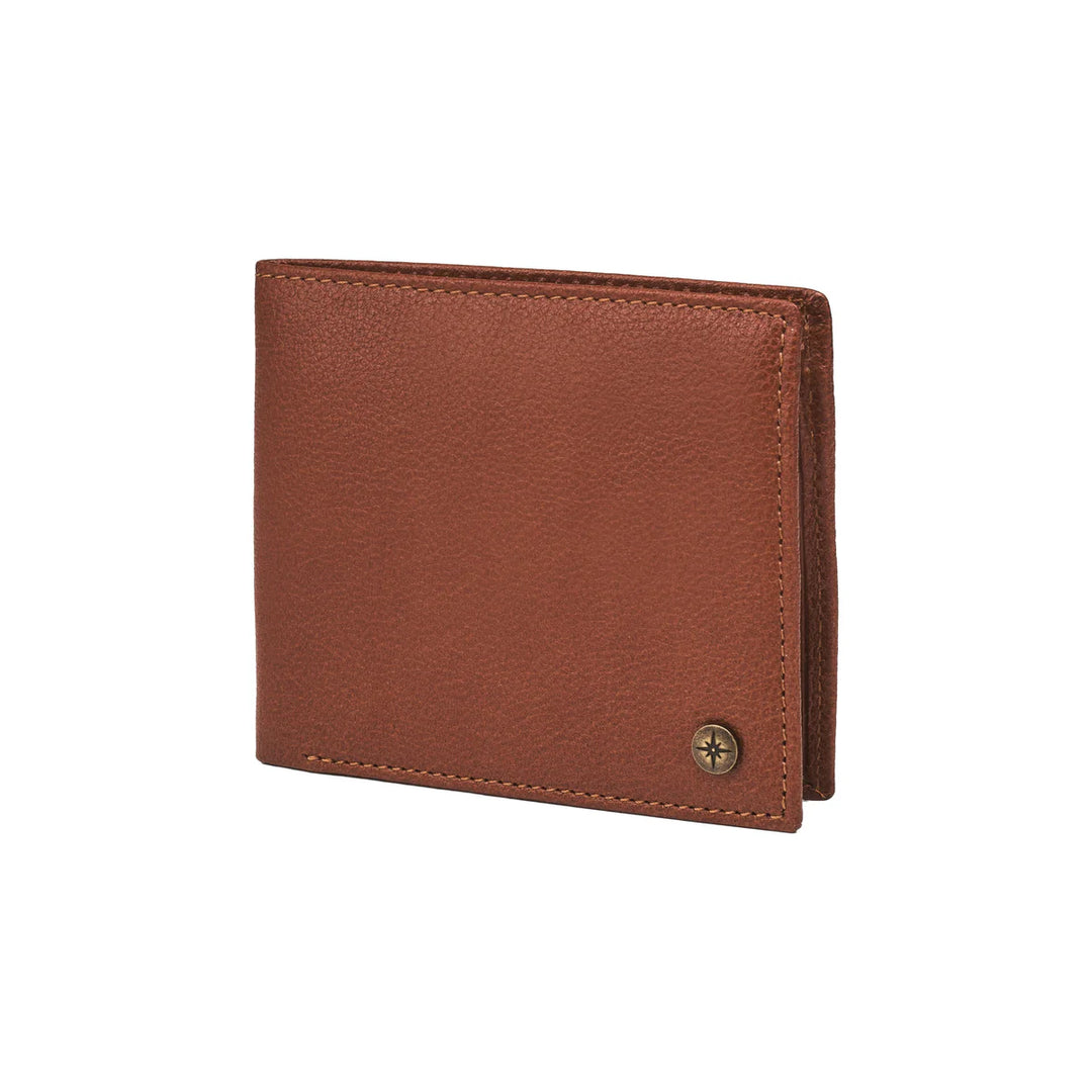 Chestnut-Brown